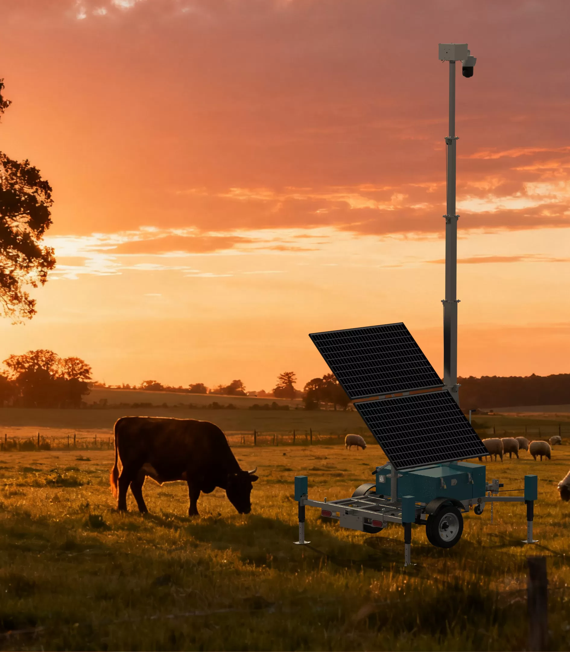Solar Surveillance Towers Transform Sheep Monitoring on Remote Farms